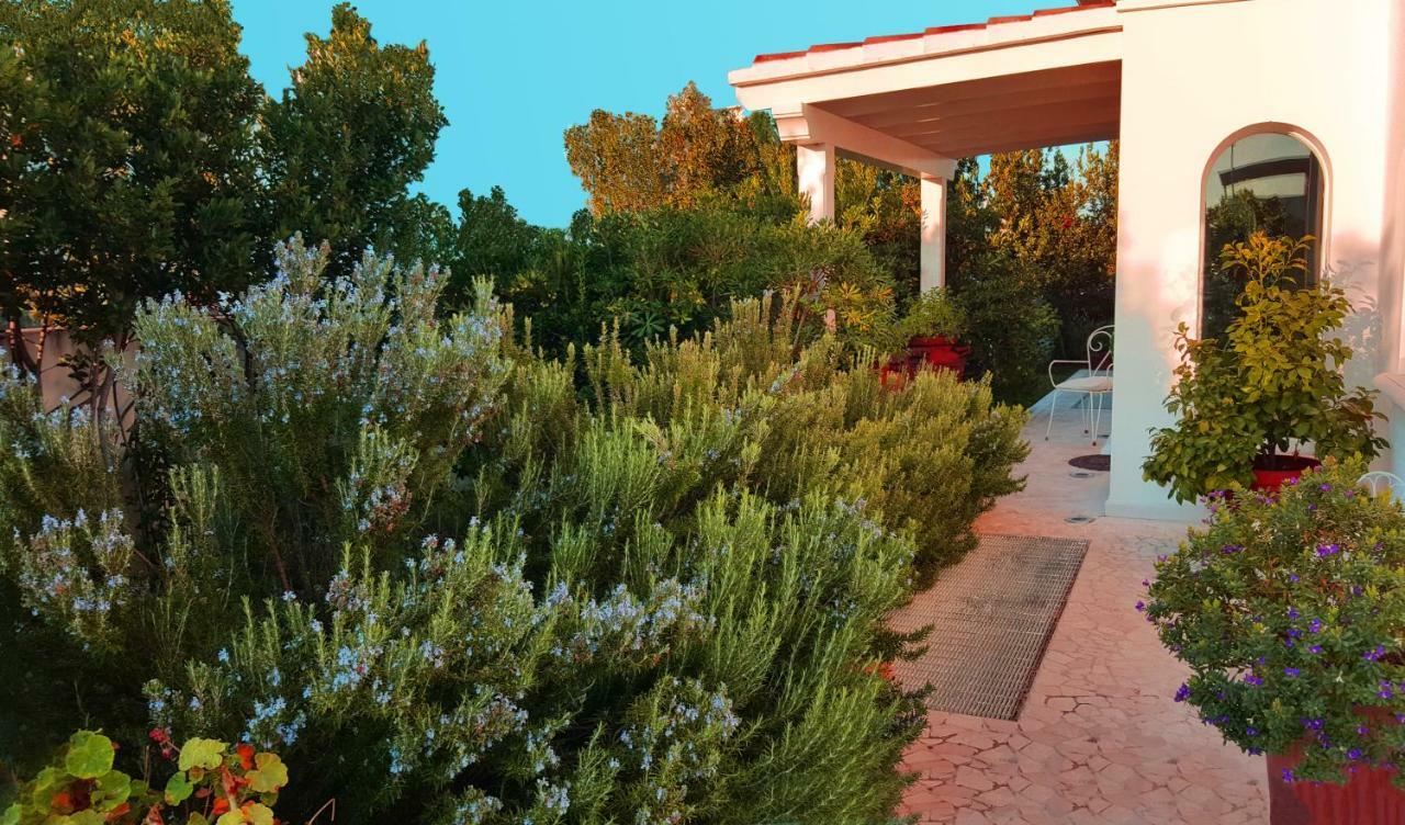 Hotel White House Luxury Hospitality Olbia Exterior foto